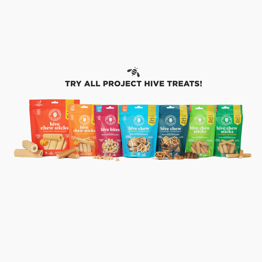PROJECT HIVE s’adapte aux jouets Hive pour enrichissement prolongé.