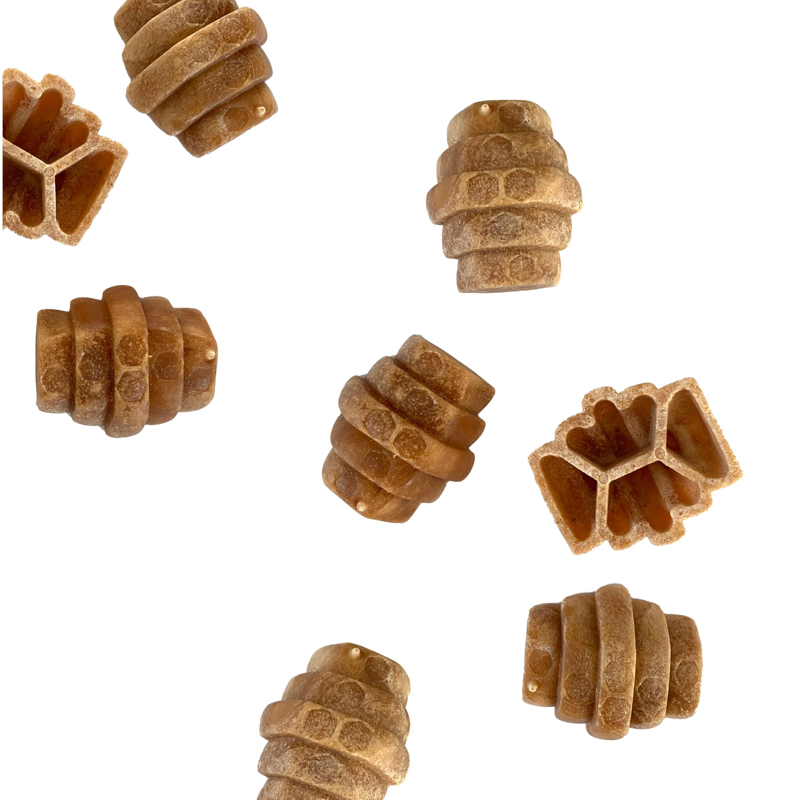 PROJECT HIVE tailles petites et grandes, adaptées pour chiens selon leur taille.