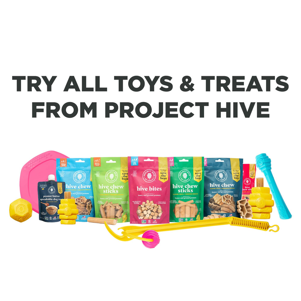 PROJECT HIVE usage quotidien pour chiens, moment de récompense et soin buccal.