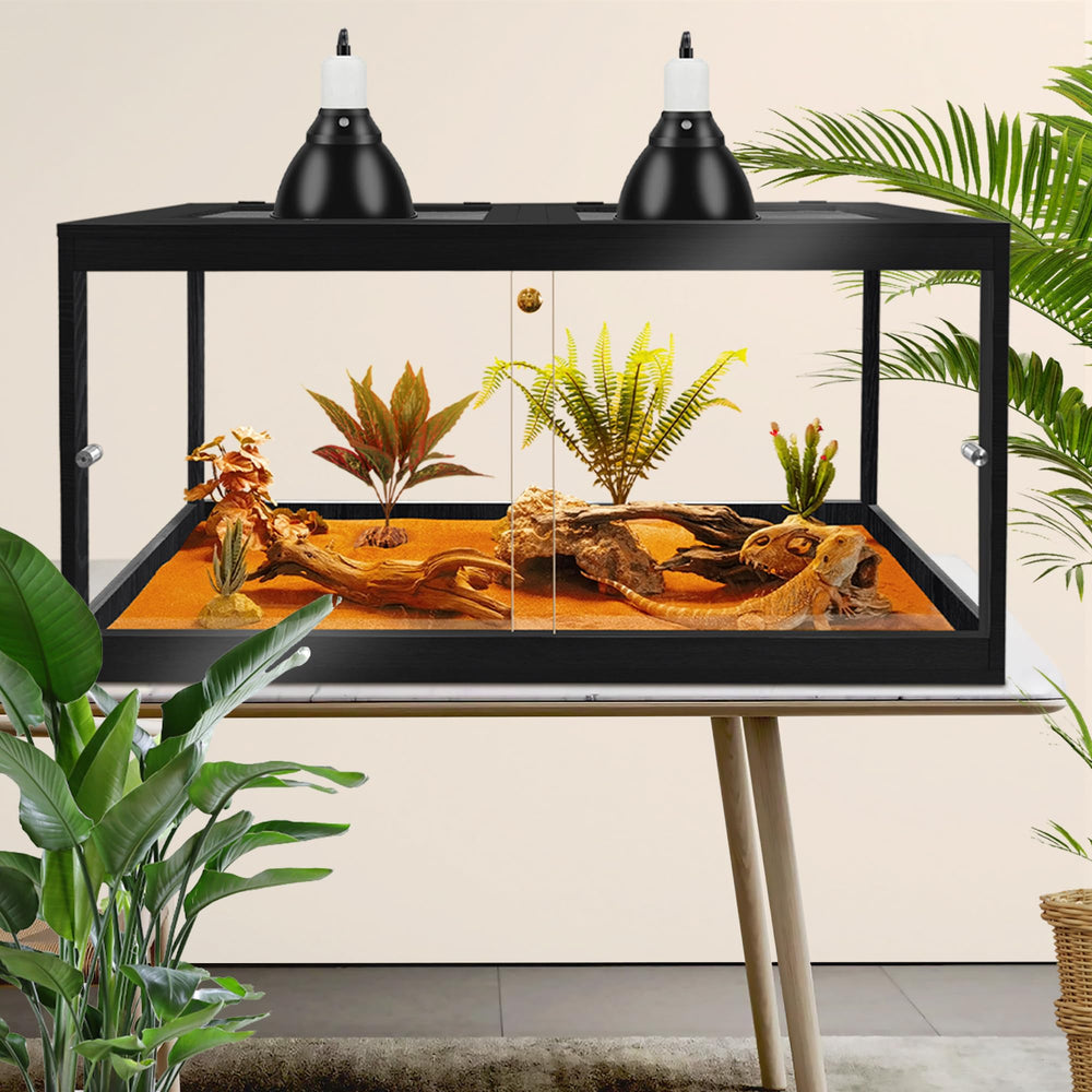 PROLEE Dragon Barbu Terrarium emplacement lampe chauffante et UV (non inclus).