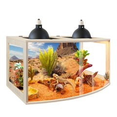 Le PROLEE dragon-barbu-tanque offre une vue frontale incurvée et nette.