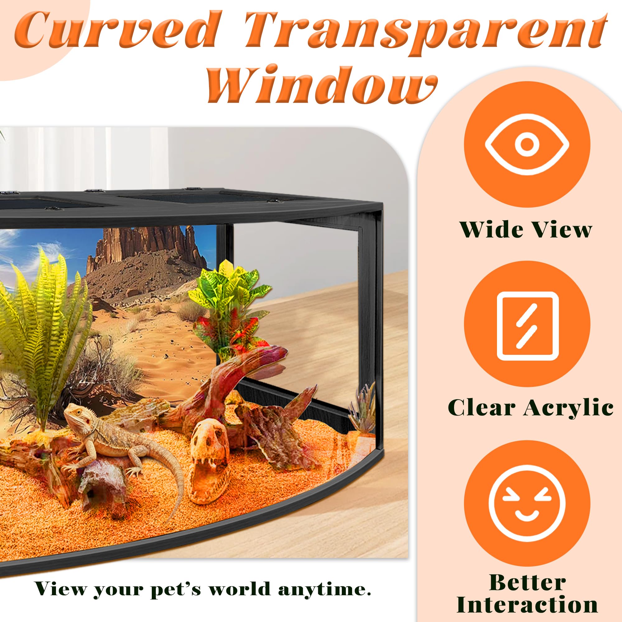 PROLEE terrarium dragon-barbu: dimensions 24 pouces pour espace d’observation et d’exploration.