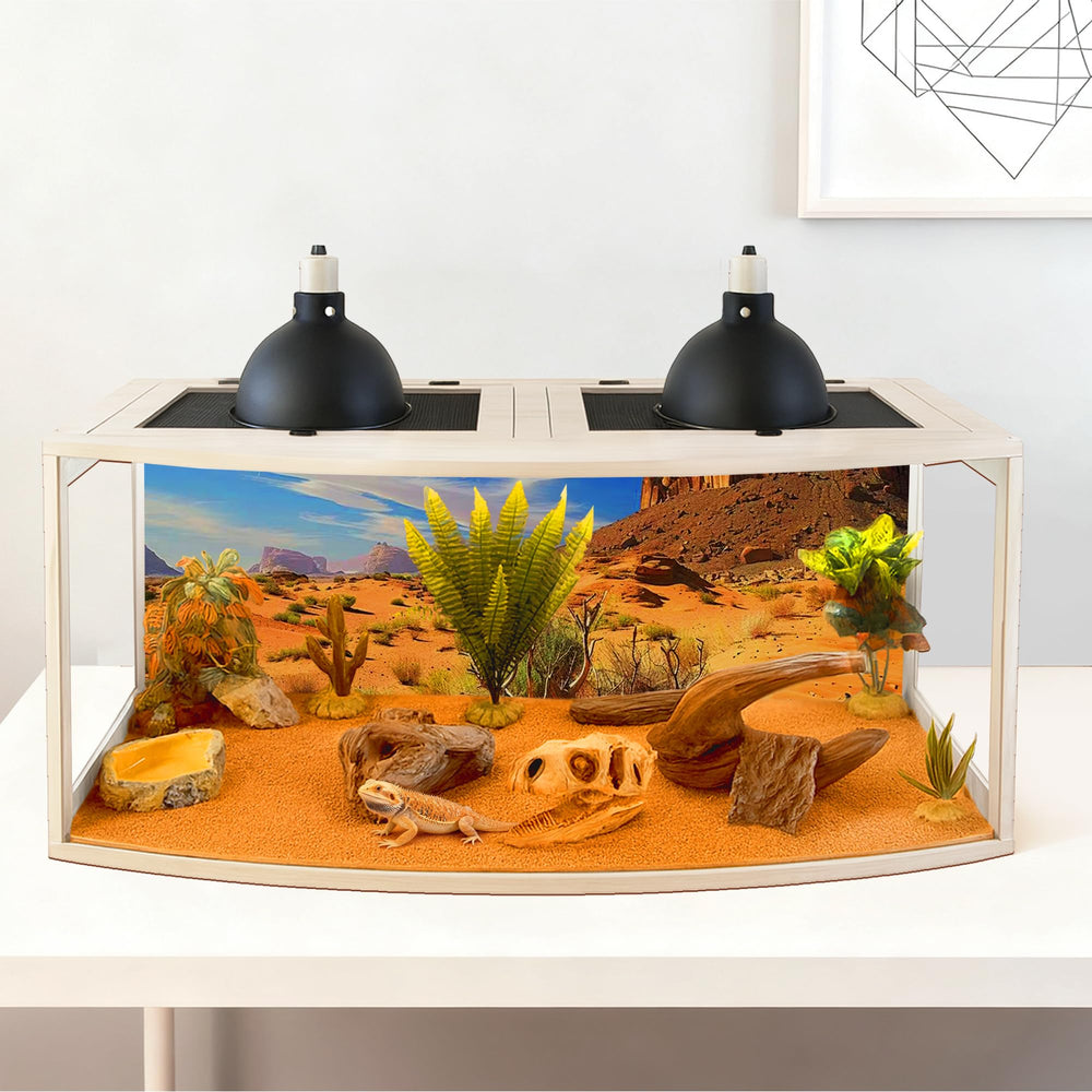 PROLEE Dragon Barbu: panneaux acryliques transparents facilitant l'observation