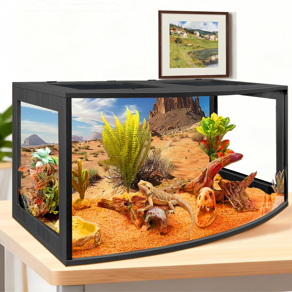 PROLEE terrarium dragon-barbu: porte verrouillable pour sécurité et tranquillité.