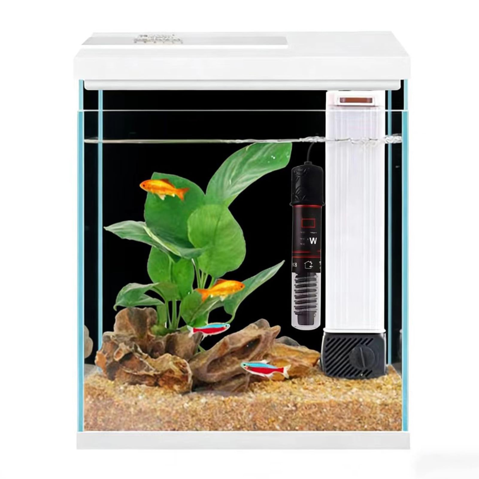 Pronetcus aquarium en verre 2 gallons avec vue nette sur vos poissons.