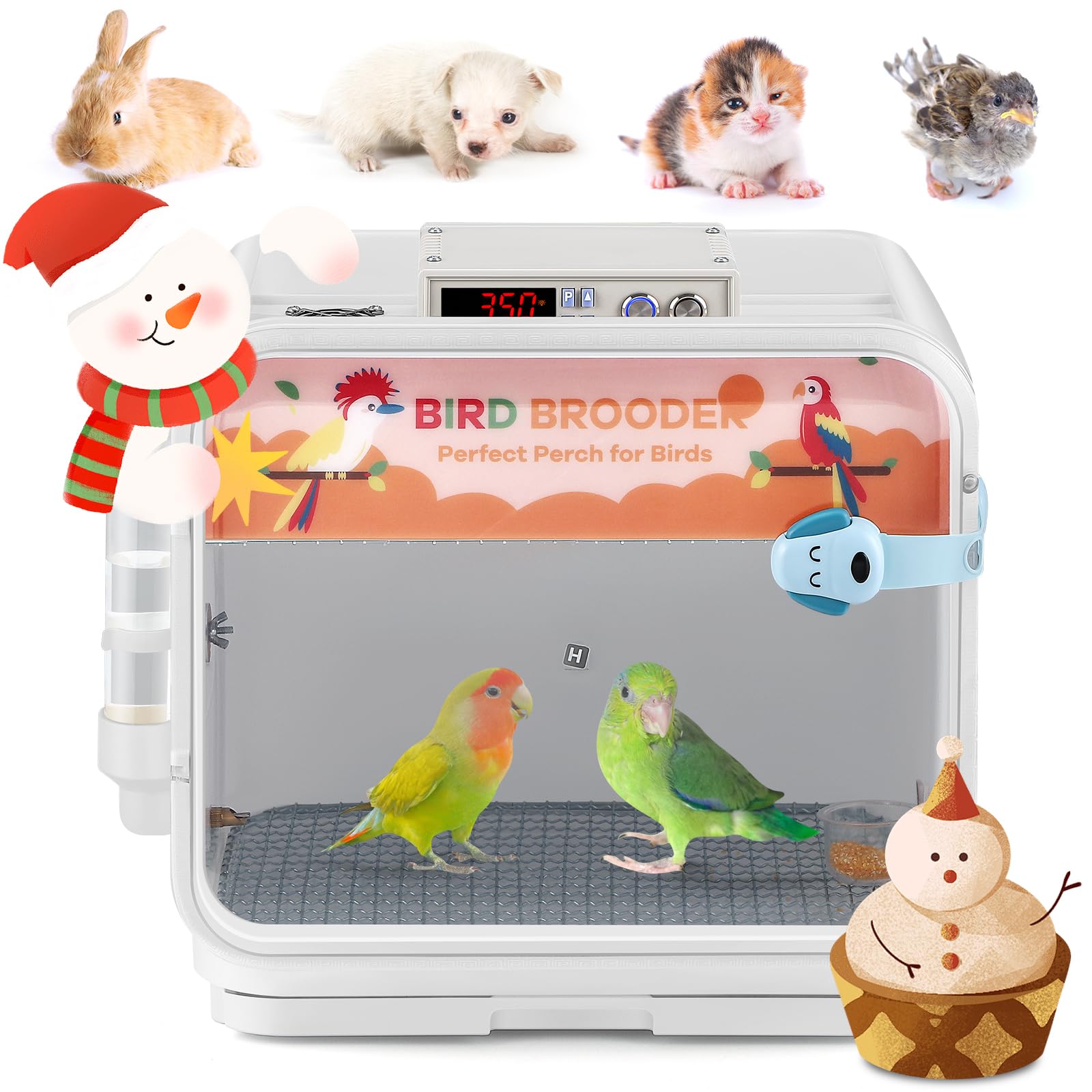 Proshine brooder 110V ensemble complet prêt à l’emploi pour petits animaux.