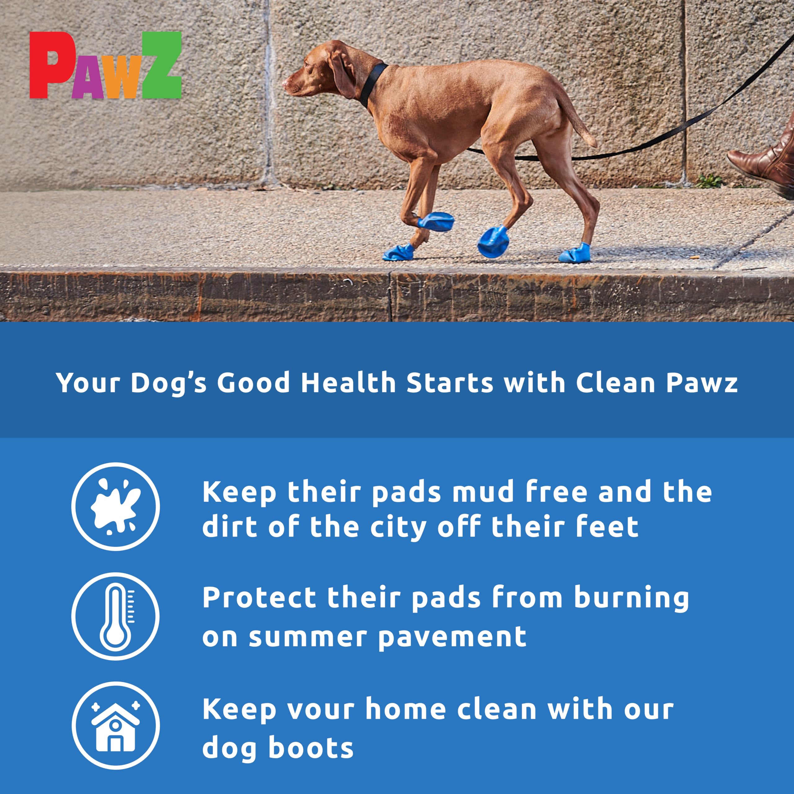 Protex PawZ aventures extérieures par temps de neige et pluie