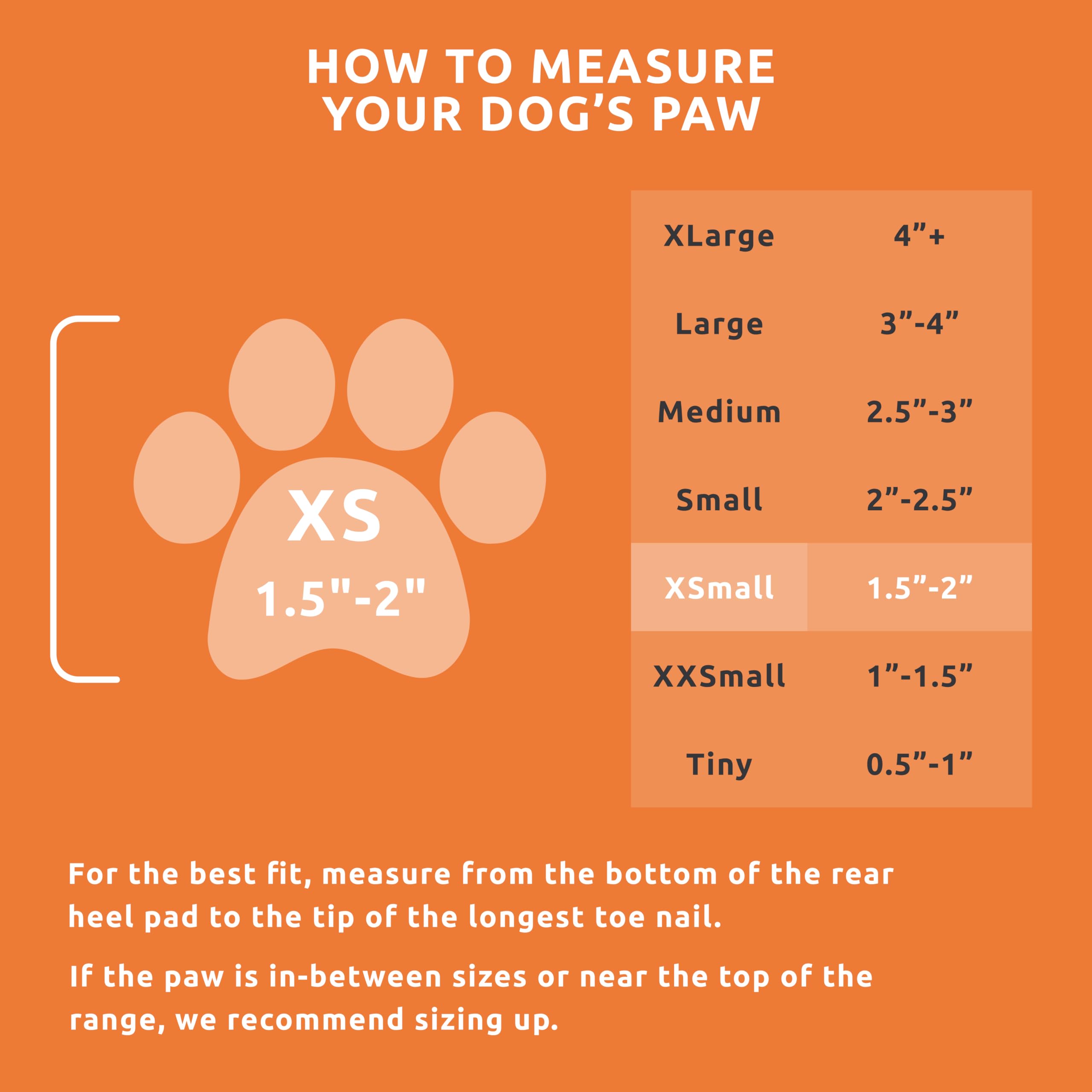 Protex PawZ bottes antiderapantes pour chien sur surfaces mouillées, meilleure traction.