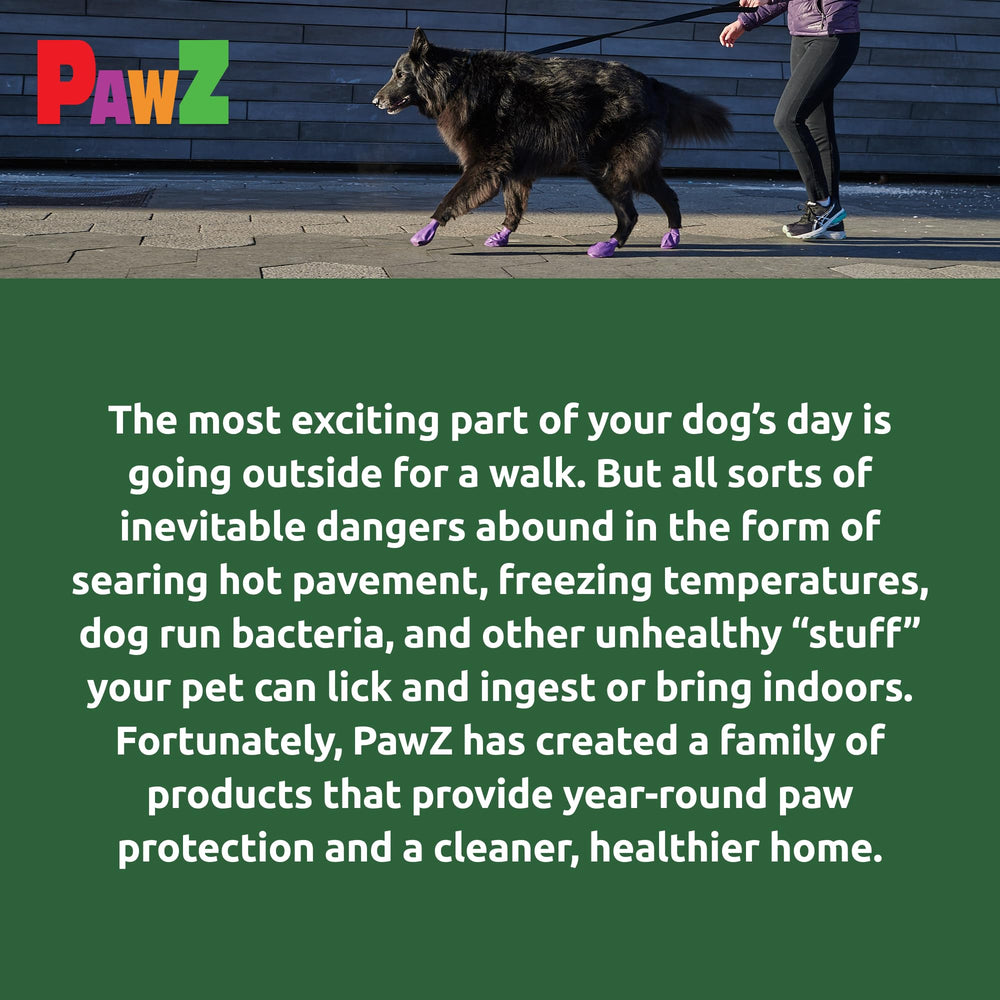 Protex PawZ lot12 bottes pour chien grandes pattes, solution pratique et économique.