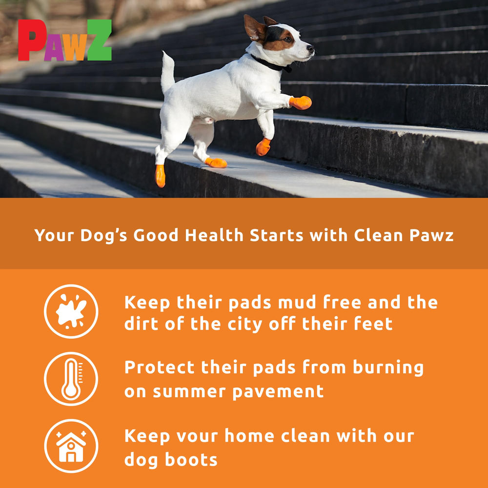 Protex PawZ: bottes en action sur neige pour petites pattes, chaleur et protection.
