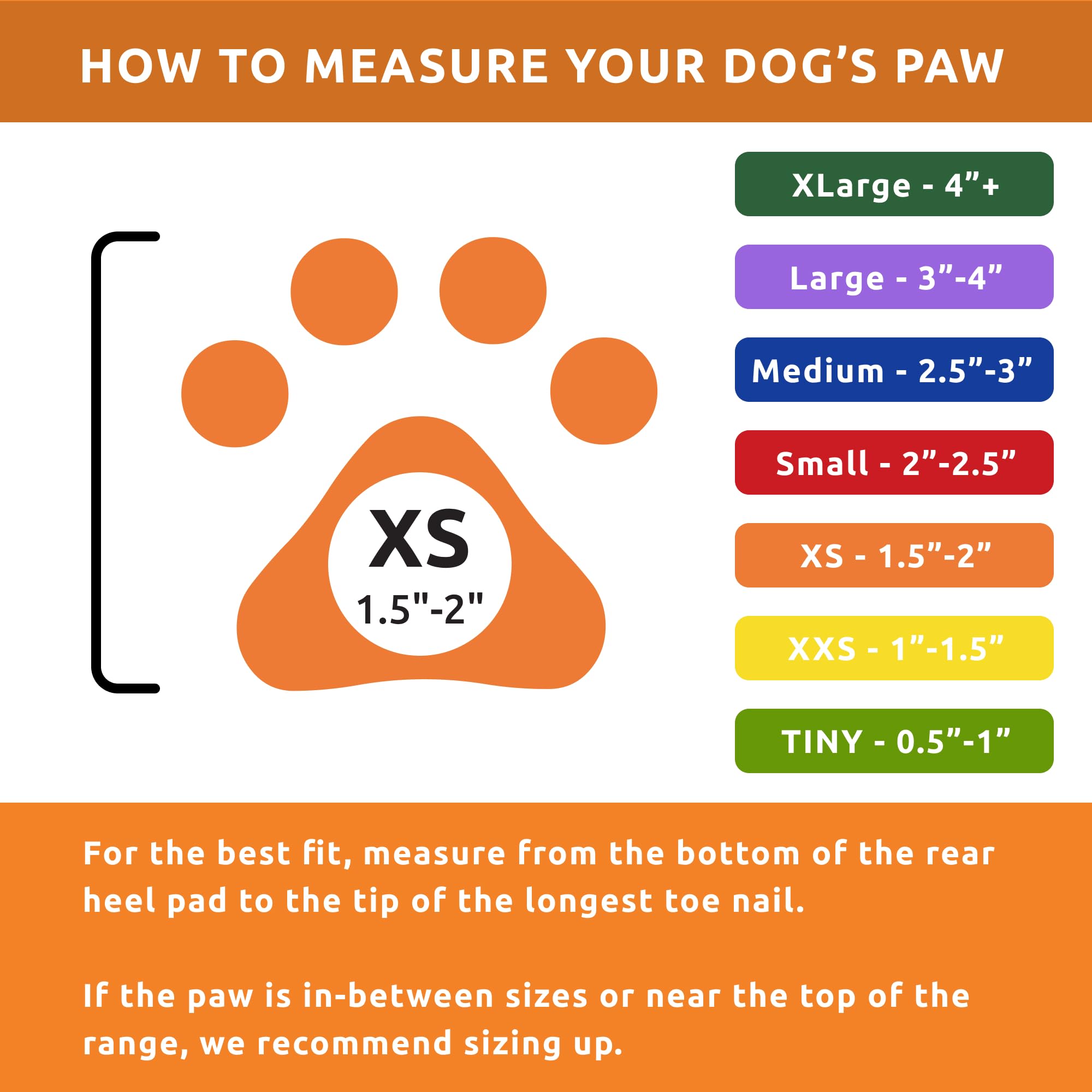 Protex PawZ: pack de 12 bottes compactes pour petits chiens et stockage facile.