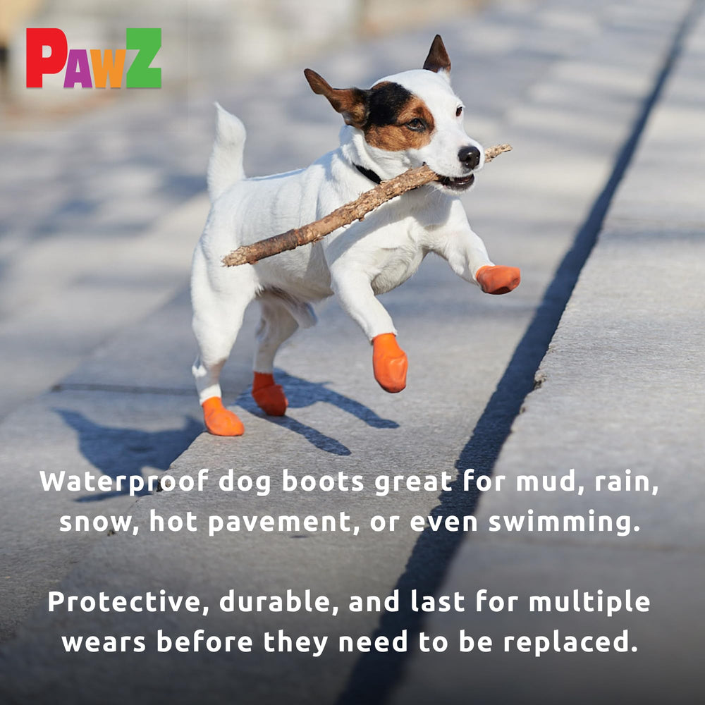 Protex PawZ: protection contre l'eau et la boue lors des promenades par temps pluvieux.