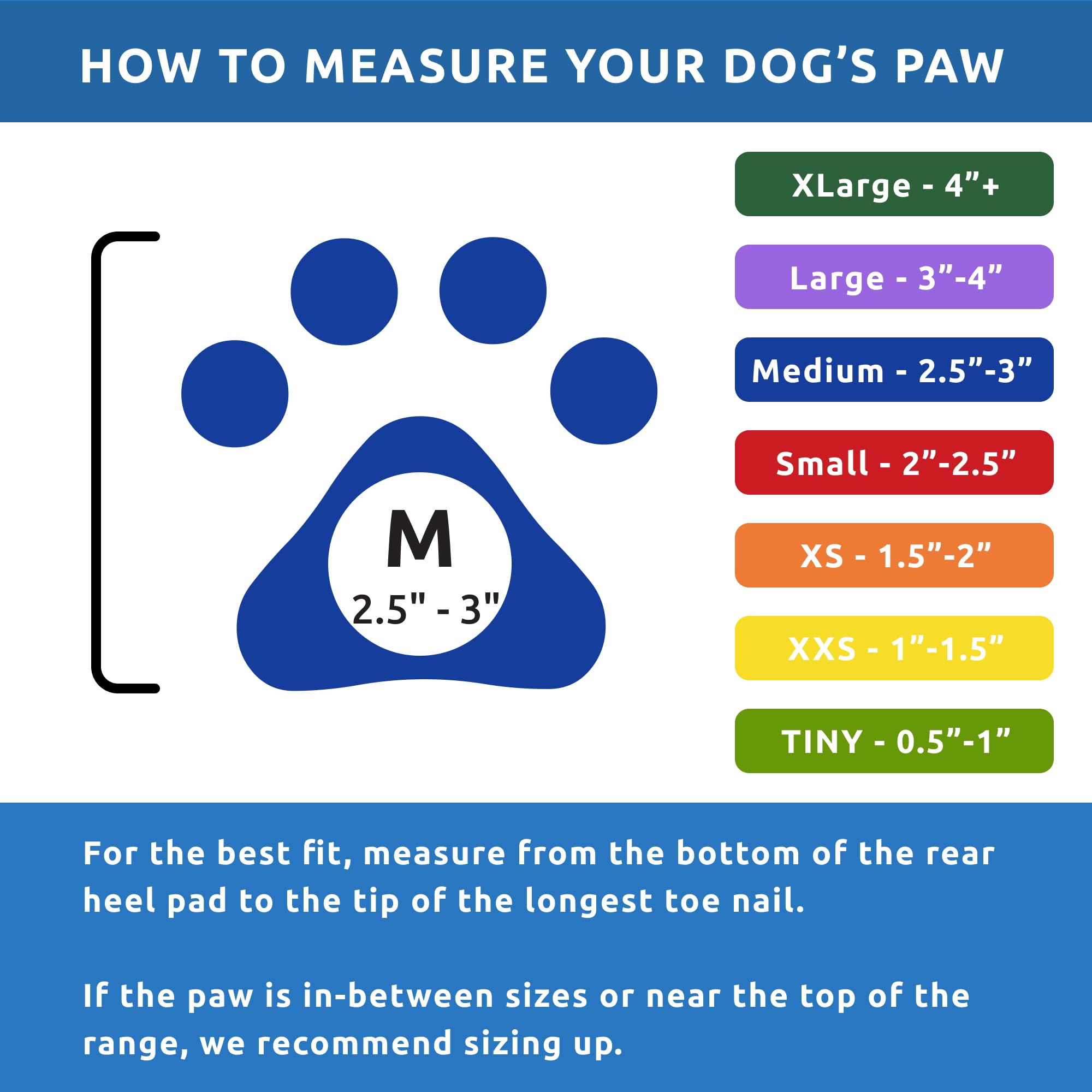 Protex PawZ – guide des tailles pour pattes moyennes, ajustement précis.
