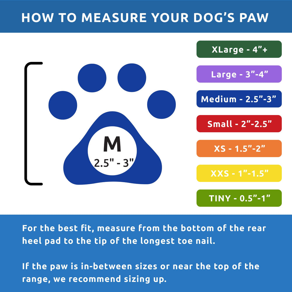 Protex PawZ – guide des tailles pour pattes moyennes, ajustement précis.