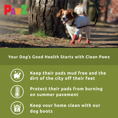 Protex PawZ botte etanche protege les pattes lors des intemperies et boue