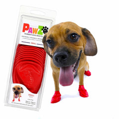 Bottes Protex PawZ rouges pour petites pattes, protection des coussinets en action.