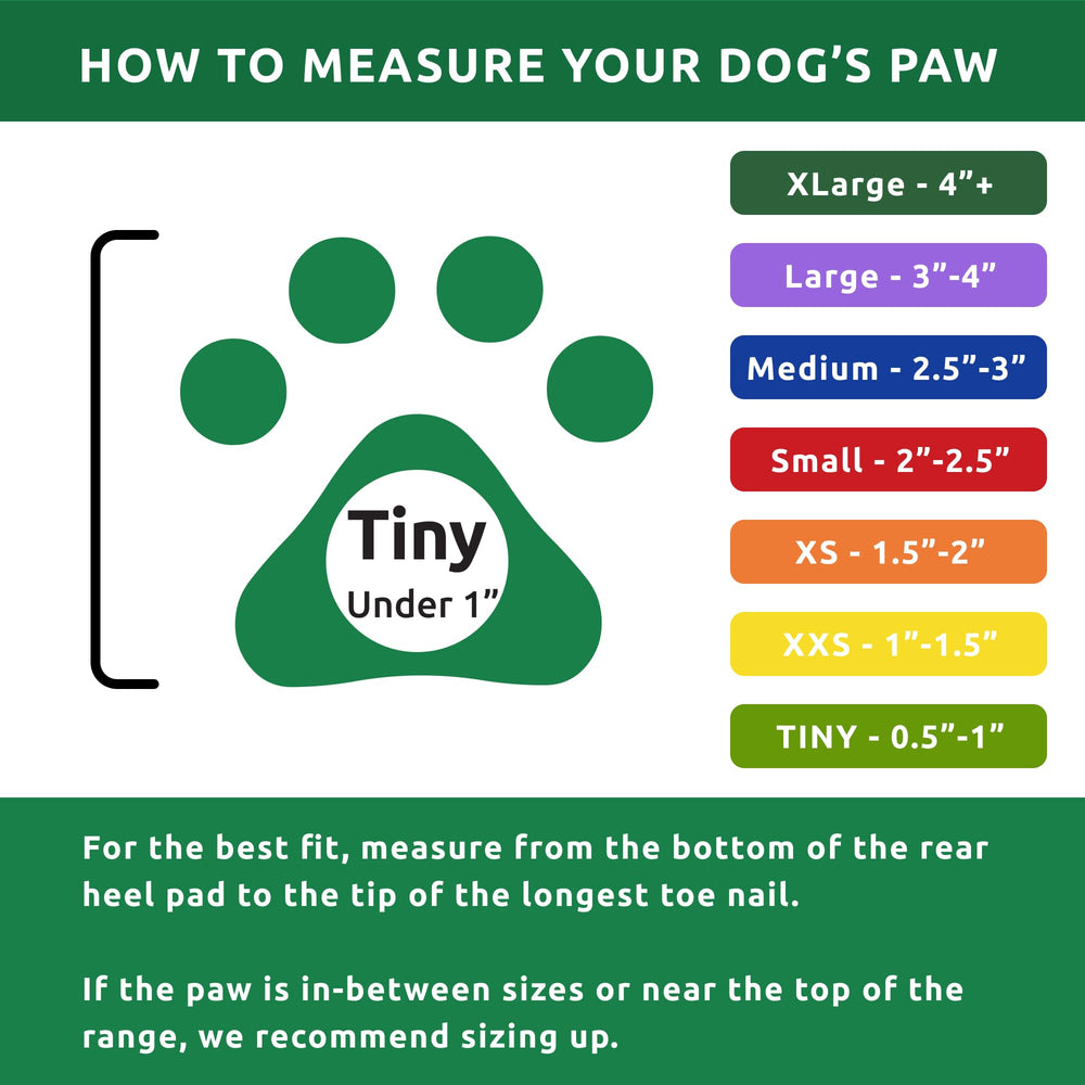 Protex PawZ: guide des tailles pour trouver la bonne coupe.