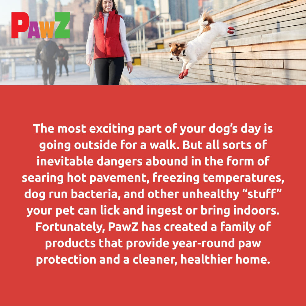 Pack de 12 bottes Protex PawZ noir, pratiques pour sorties quotidiennes.