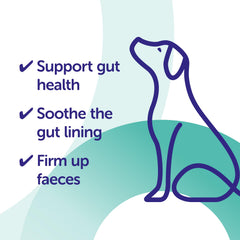 Pro-Kolin Advanced, pâte probiotique chien, soutien digestif