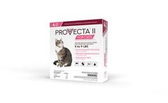PROVECTA II pour chatte petite — application facile sur le pelage, soin simplifié.