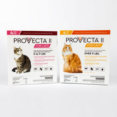 PROVECTA II pour chatte petite — emballage clair et sûr, usage domestique simple.