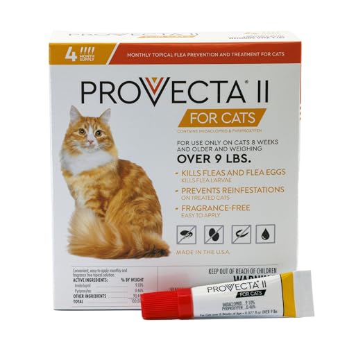 Provecta II en action: protection durable sur le pelage des chats.