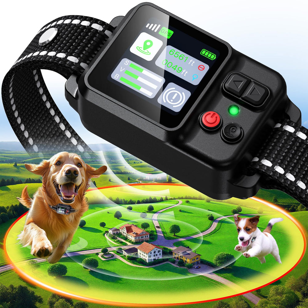 Collier GPS PRTRLFC pour entraînement extérieur avec suivi précis.