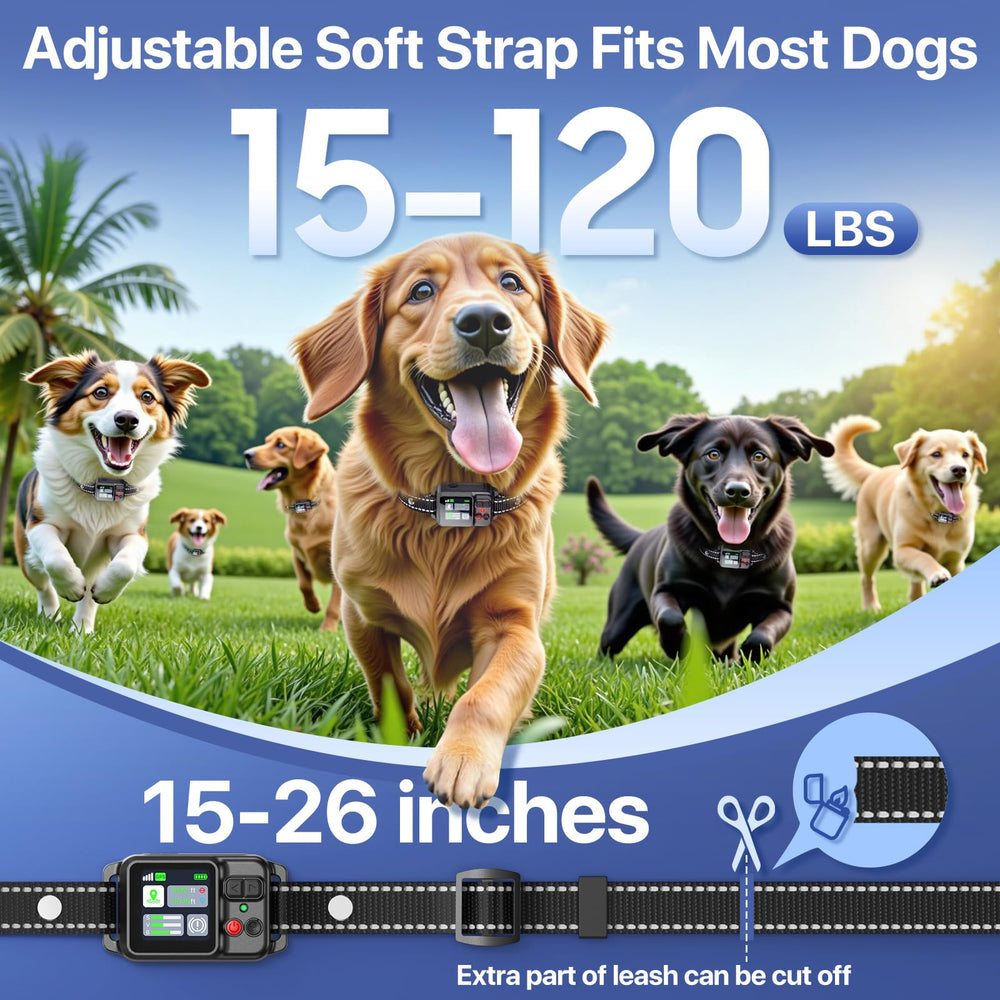 Collier léger et ajustable PRTRLFC, confort pour chiens moyens à grands.