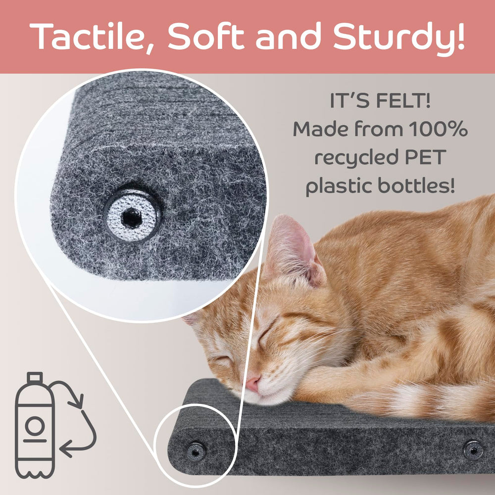 Pryde Pets design charbon: allure moderne et intégration facile.