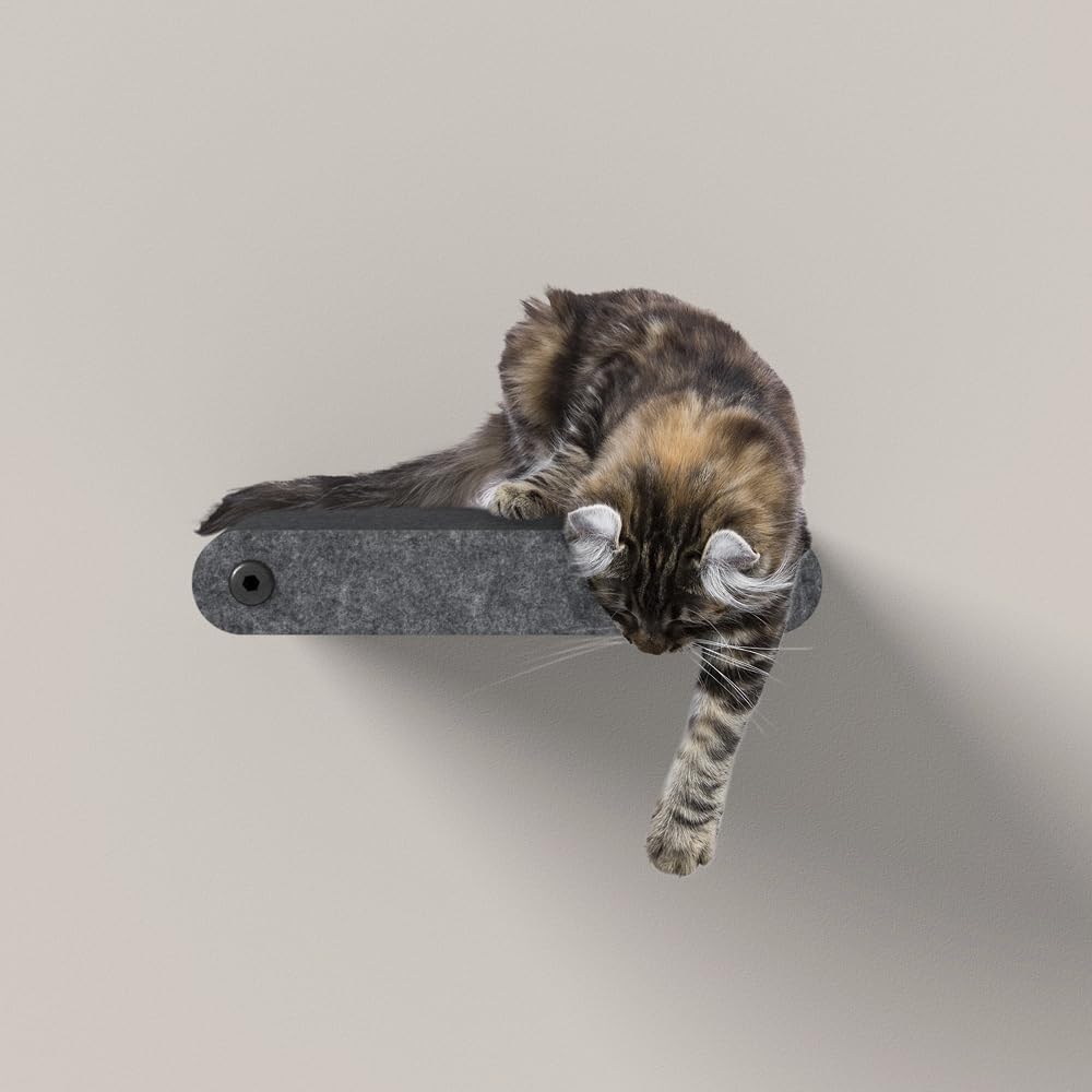 Pryde Pets étagères murales pour chats: solides et sûres.