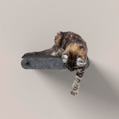 Pryde Pets étagères murales pour chats: solides et sûres.