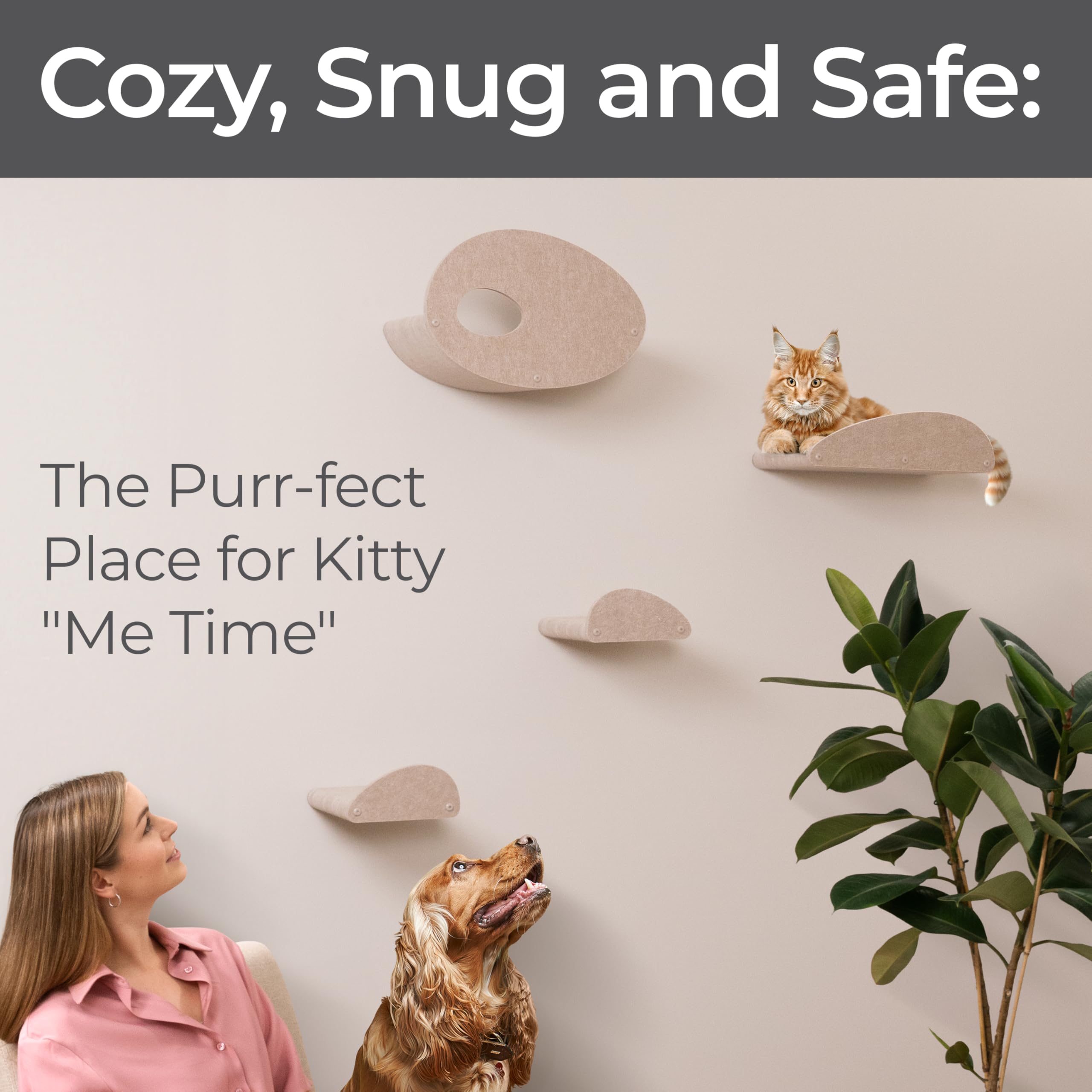 Pryde Pets matériau PET felt écologique apporte durabilité et respect de l'environnement.