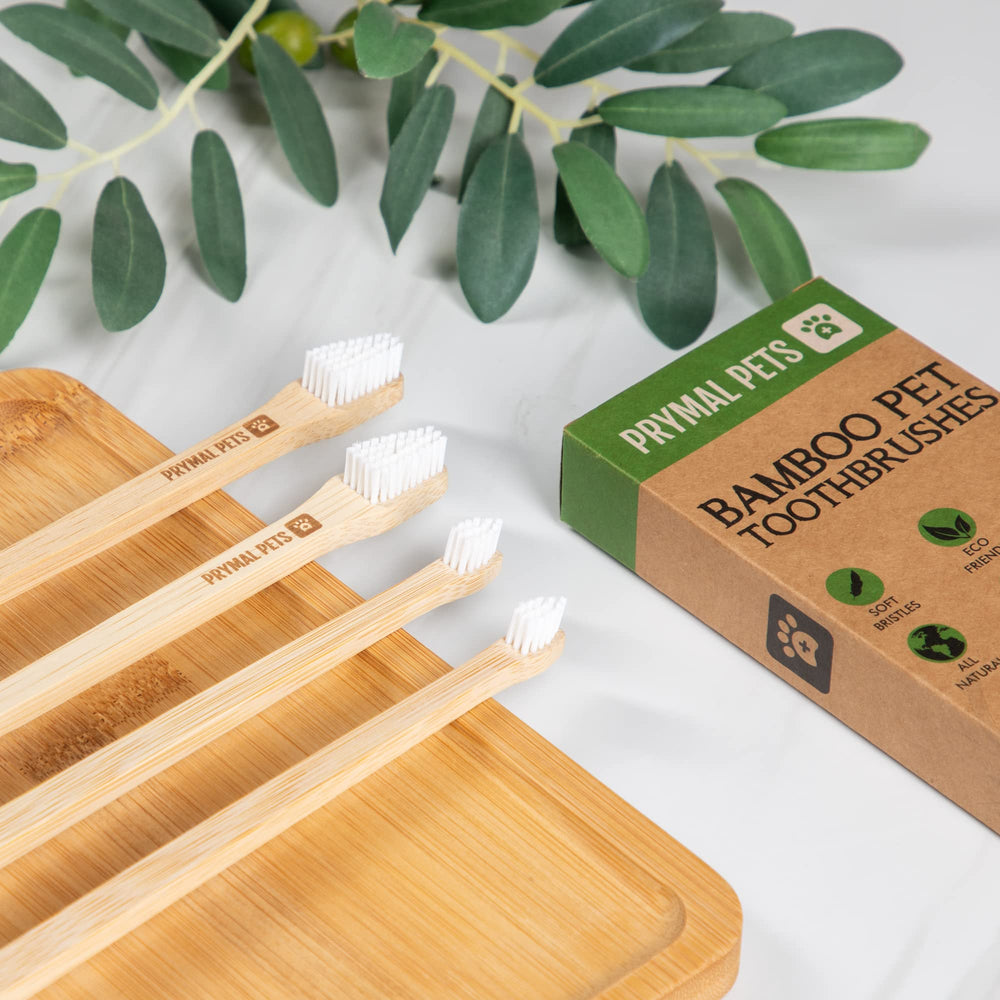 Kit dentaire Prymal Pets quotidien; pratique pour l’entretien buccal des animaux.