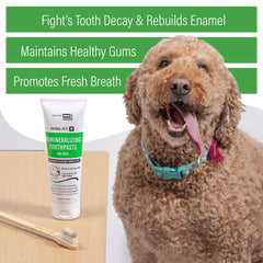 Prymal Pets nano-hydroxyapatite, renforcement de l'émail chiens