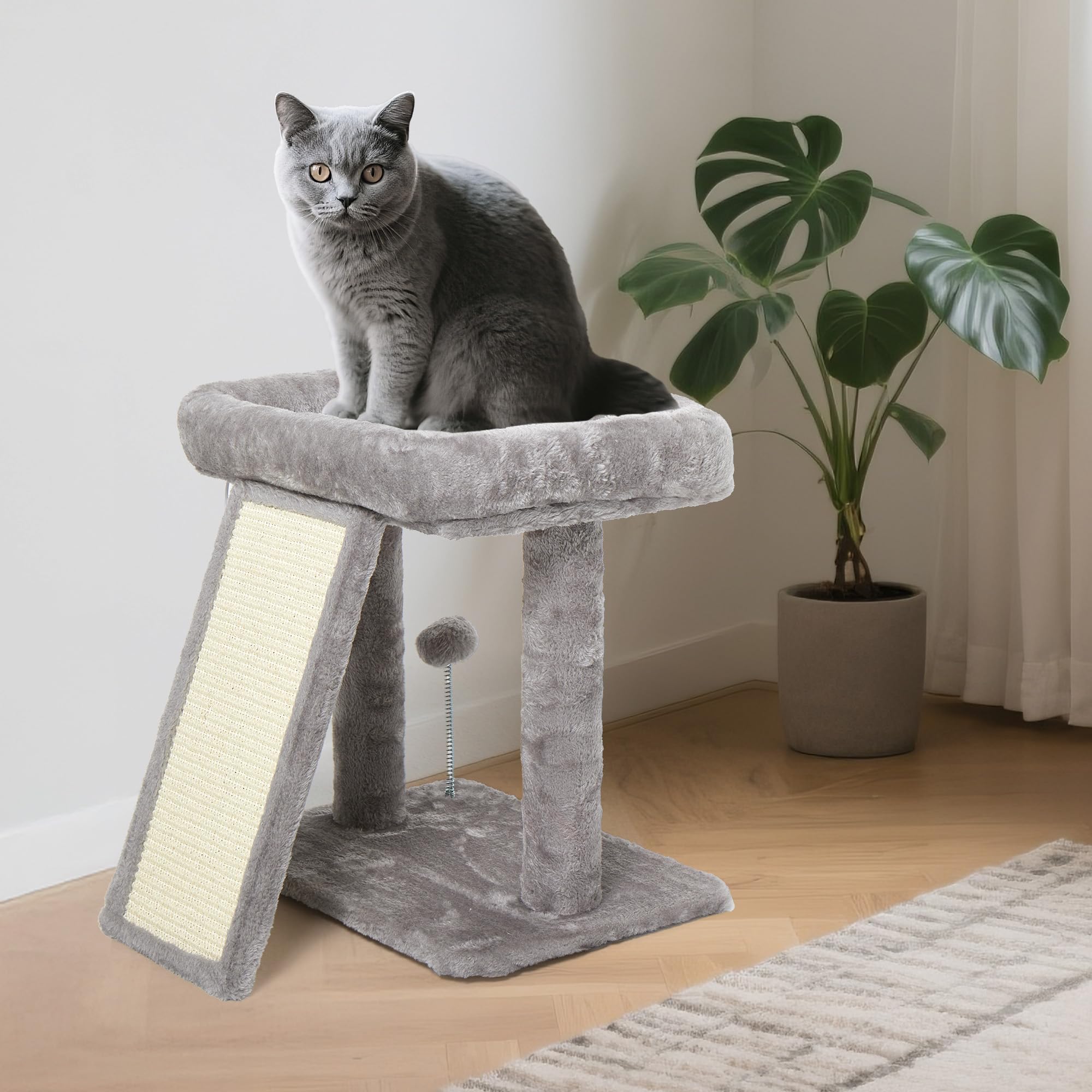 Psicway Tour Arbre Chat Petit - coin intérieur divertissant pour chats curieux