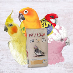 Psittacus Mini texture semblable yaourt facilite l'alimentation des jeunes psittacides.