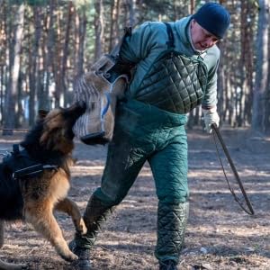Pssopp appat-chien-exterieur-cuir, attire l'attention pour des sessions de jeu.