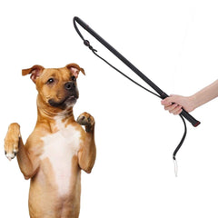 Pssopp baton-stimulation-chien-cuir, stimule l'attention et l'énergie du chien.