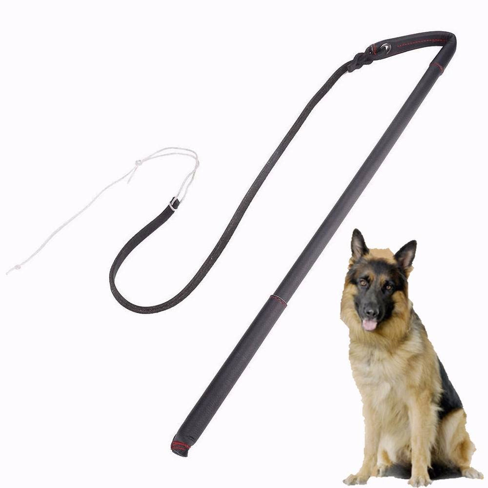Pssopp loisir-plein-air-chien, transforme le jeu en expérience stimulante.