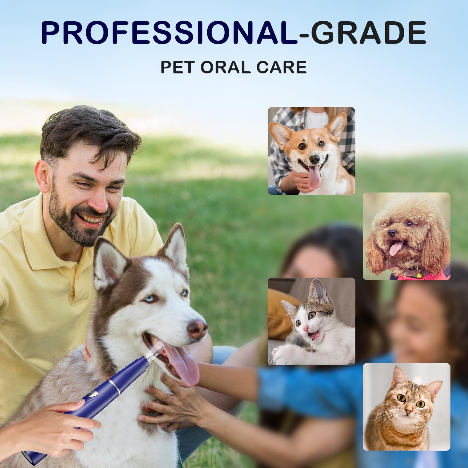 Psytpusa démonstration d'utilisation sur chiens et chats, soin pratique.