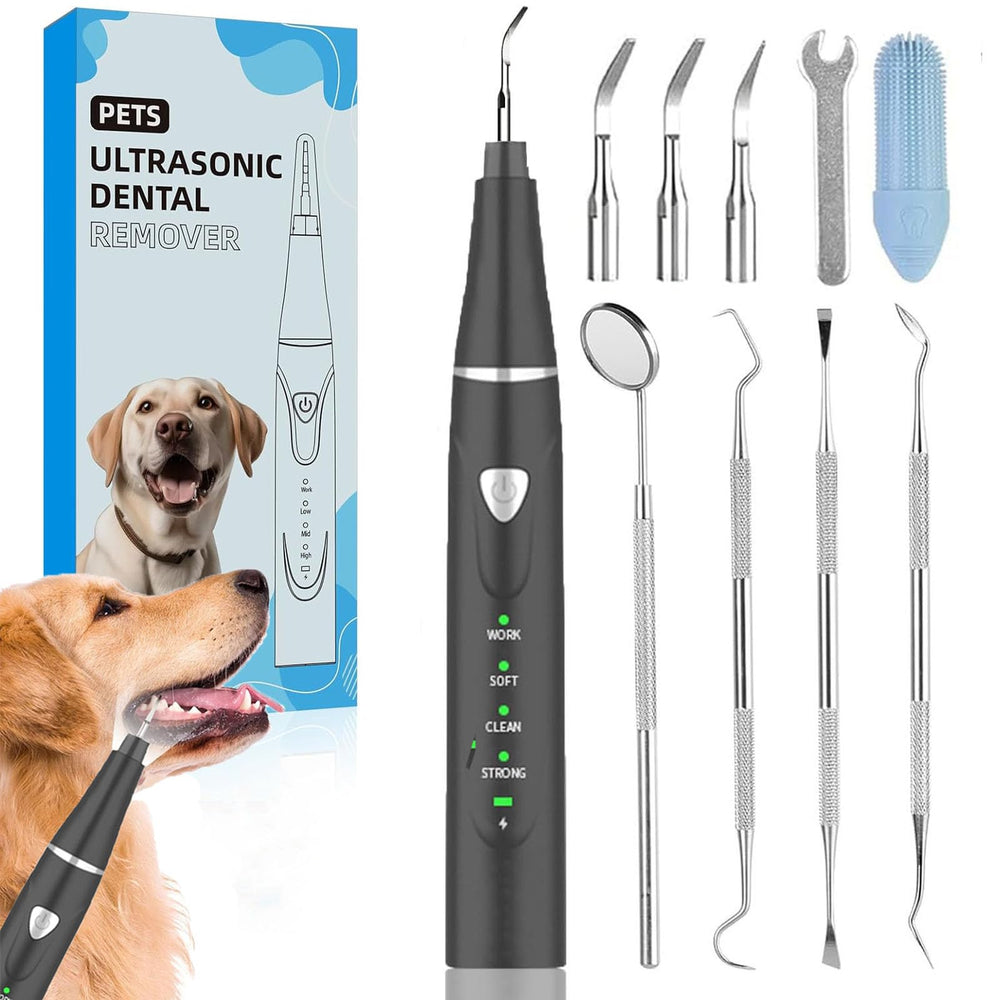 Psytpusa nettoyeur ultrasonique pour animaux, vue générale et confort d’usage