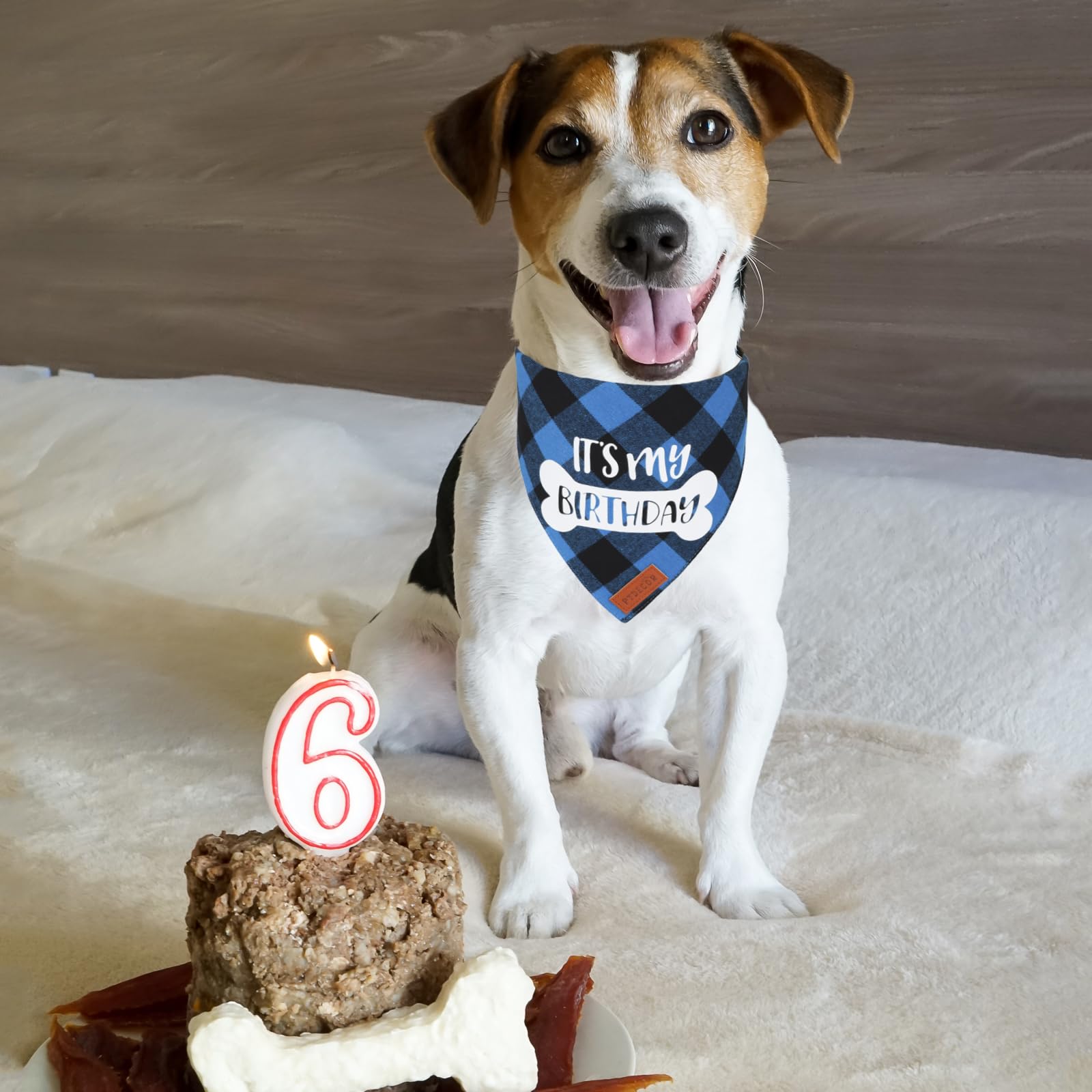 Bandana PTDECOR anniversaire chien bleu carreaux, confortable et léger pour toute la journée.