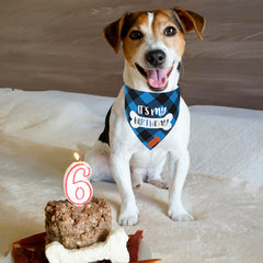 Bandana PTDECOR anniversaire chien bleu carreaux, confortable et léger pour toute la journée.