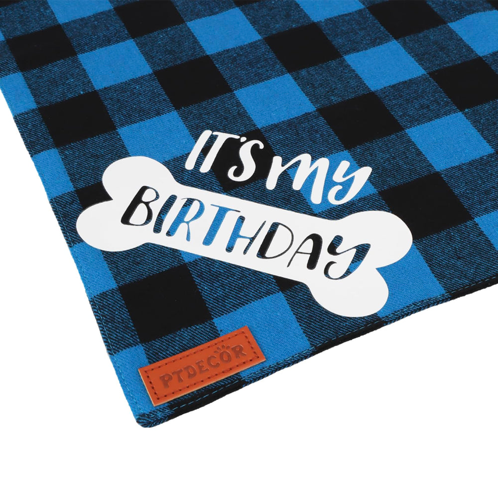 Accessoire photogénique PTDECOR, bandana bleu carreaux, qui met en valeur votre chien.