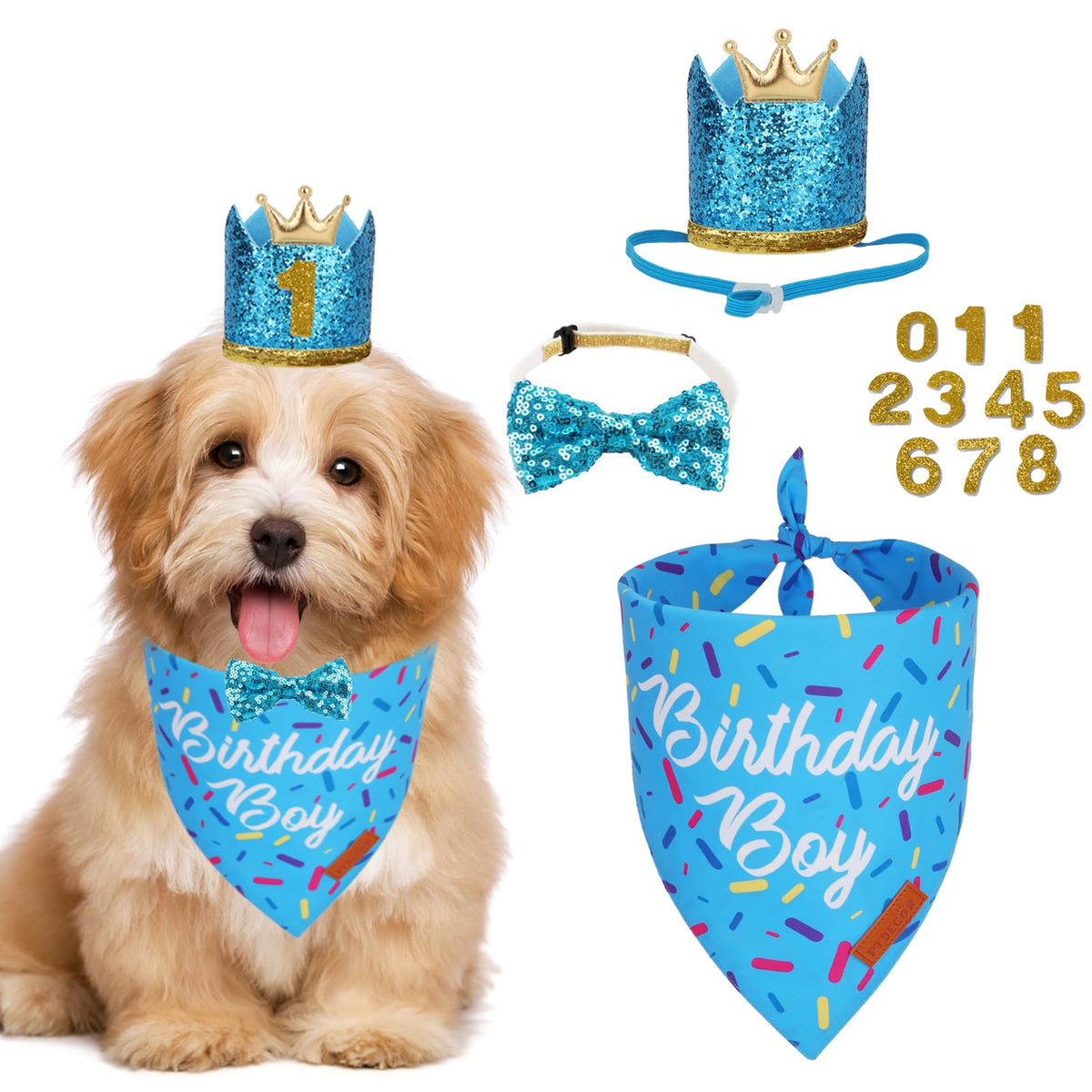 Bandana anniversaire PTDECOR bleu pour chien, parfait pour les photos festives.