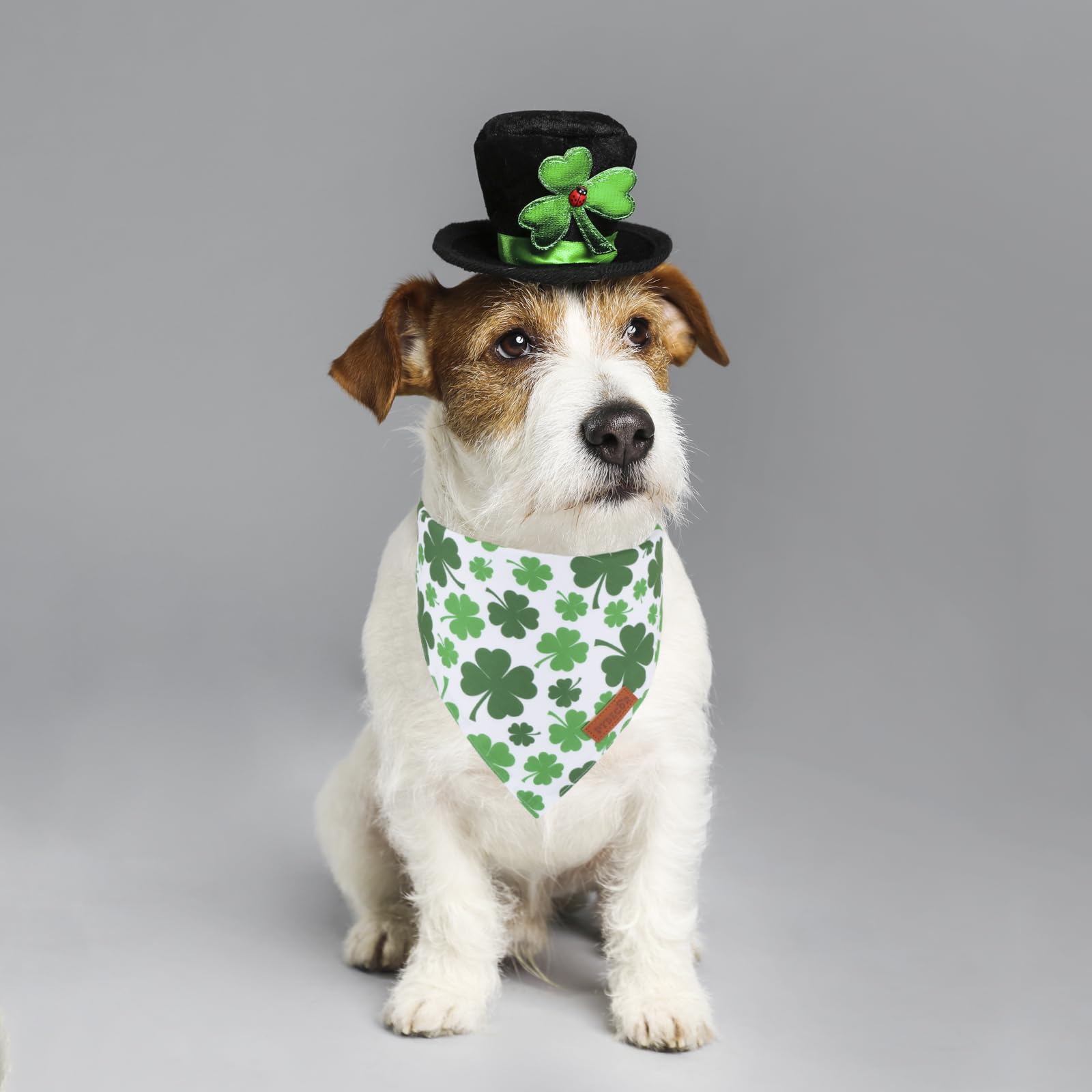 PTDECOR Bandana Chien Saint-Patrick en polyester double couche, confort doux.