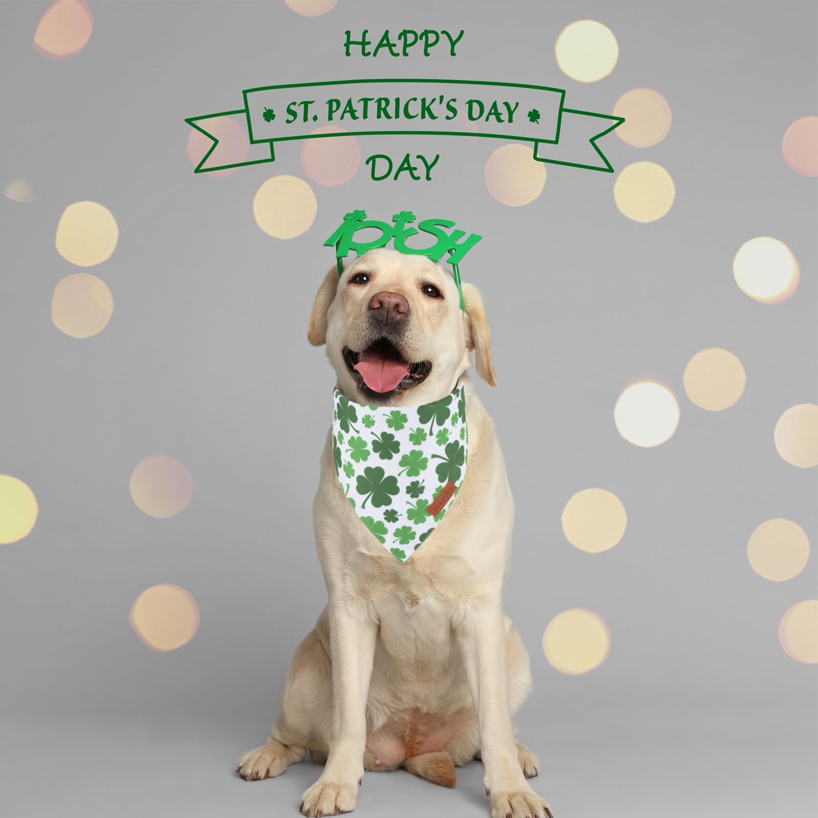 Bandana PTDECOR Saint-Patrick recto-verso - design réversible pour varier le style.