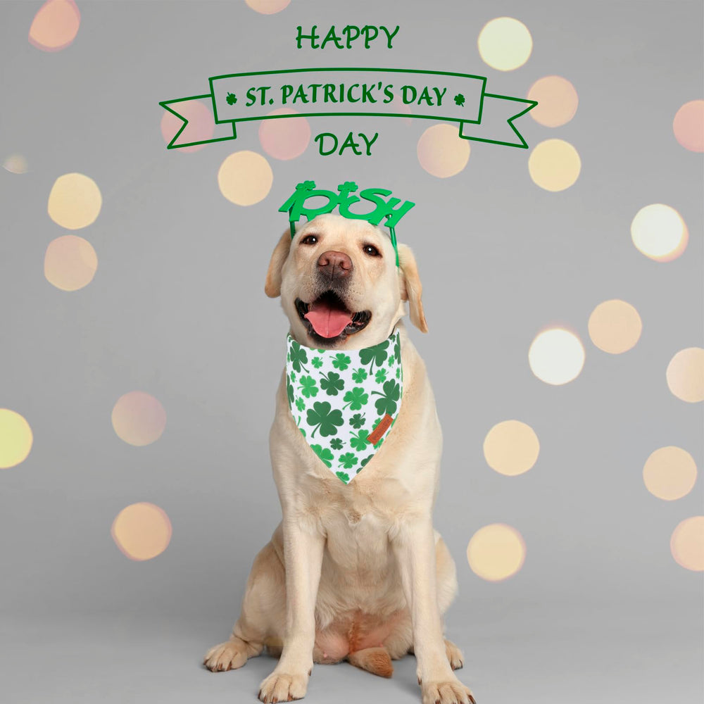 Bandana PTDECOR Saint-Patrick recto-verso - design réversible pour varier le style.