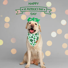 Bandana PTDECOR Saint-Patrick recto-verso - design réversible pour varier le style.