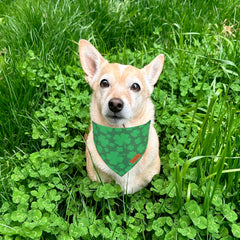 PTDECOR Bandana Chien Saint-Patrick réversible vert et noir pour deux styles.